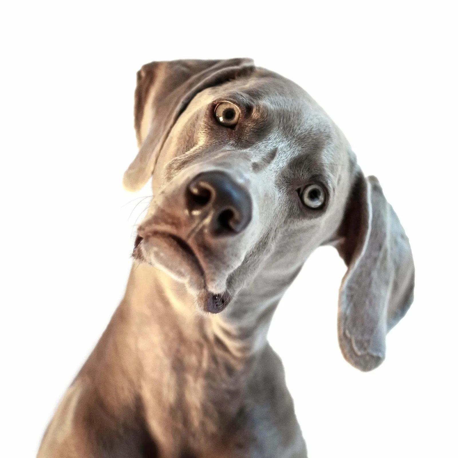 Beware of these 5 Pitfalls with System Integration Services