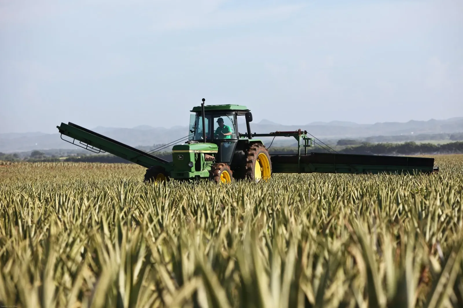 tractor in field