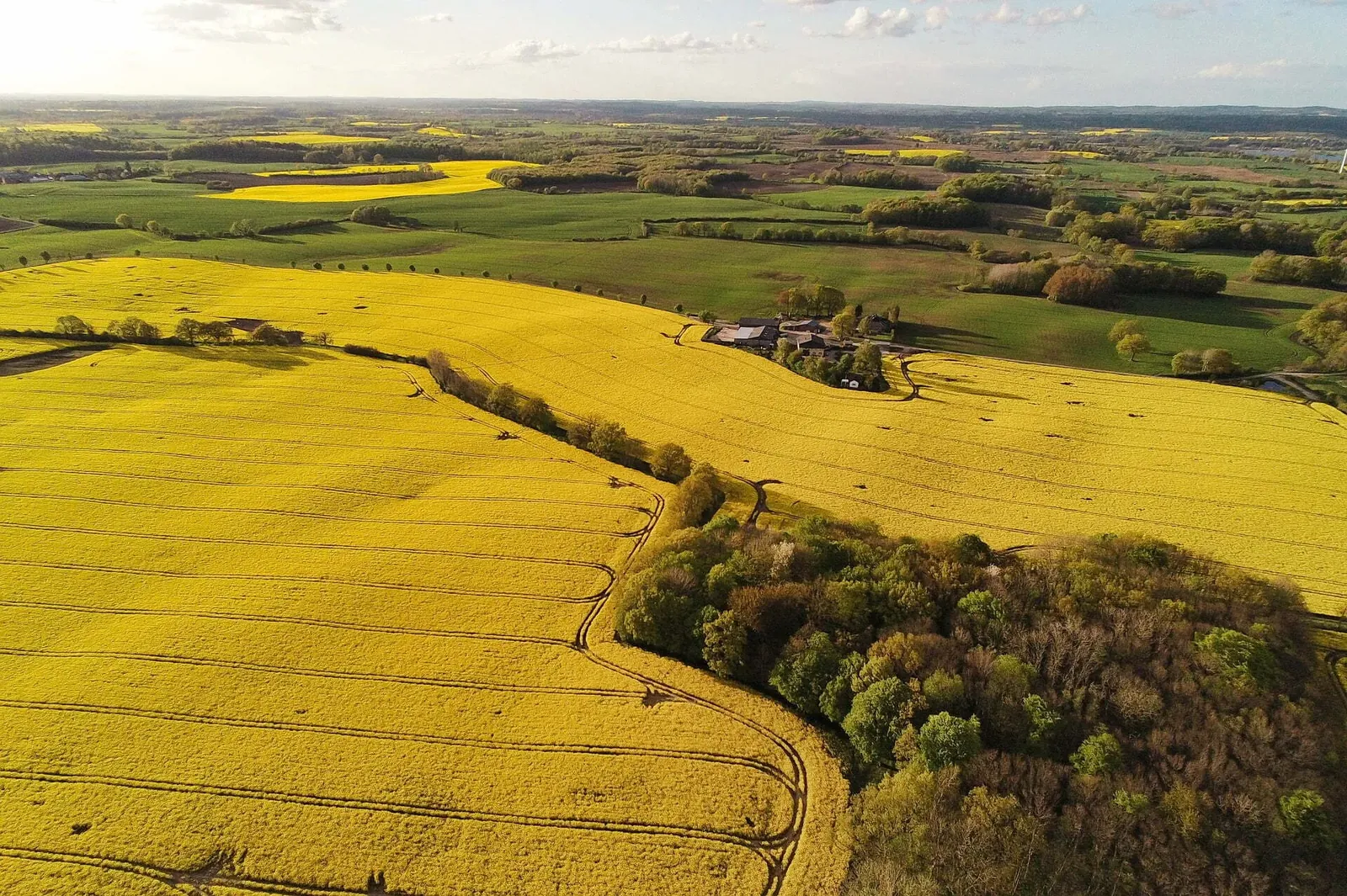 Risks in Merging Drone and Satellite Data