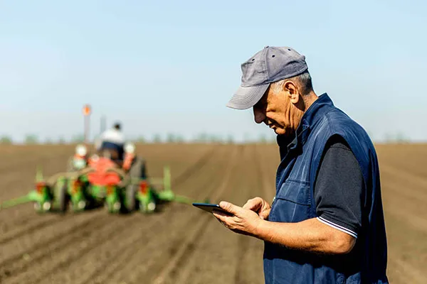 Senior farmer in field examining sowing and holding tablet in his hands. Farmer in field checking farm data