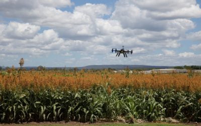 What We Can Learn from AgTech