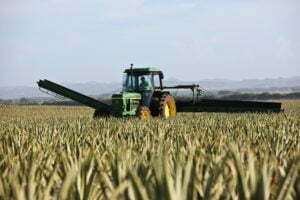 tractor in field