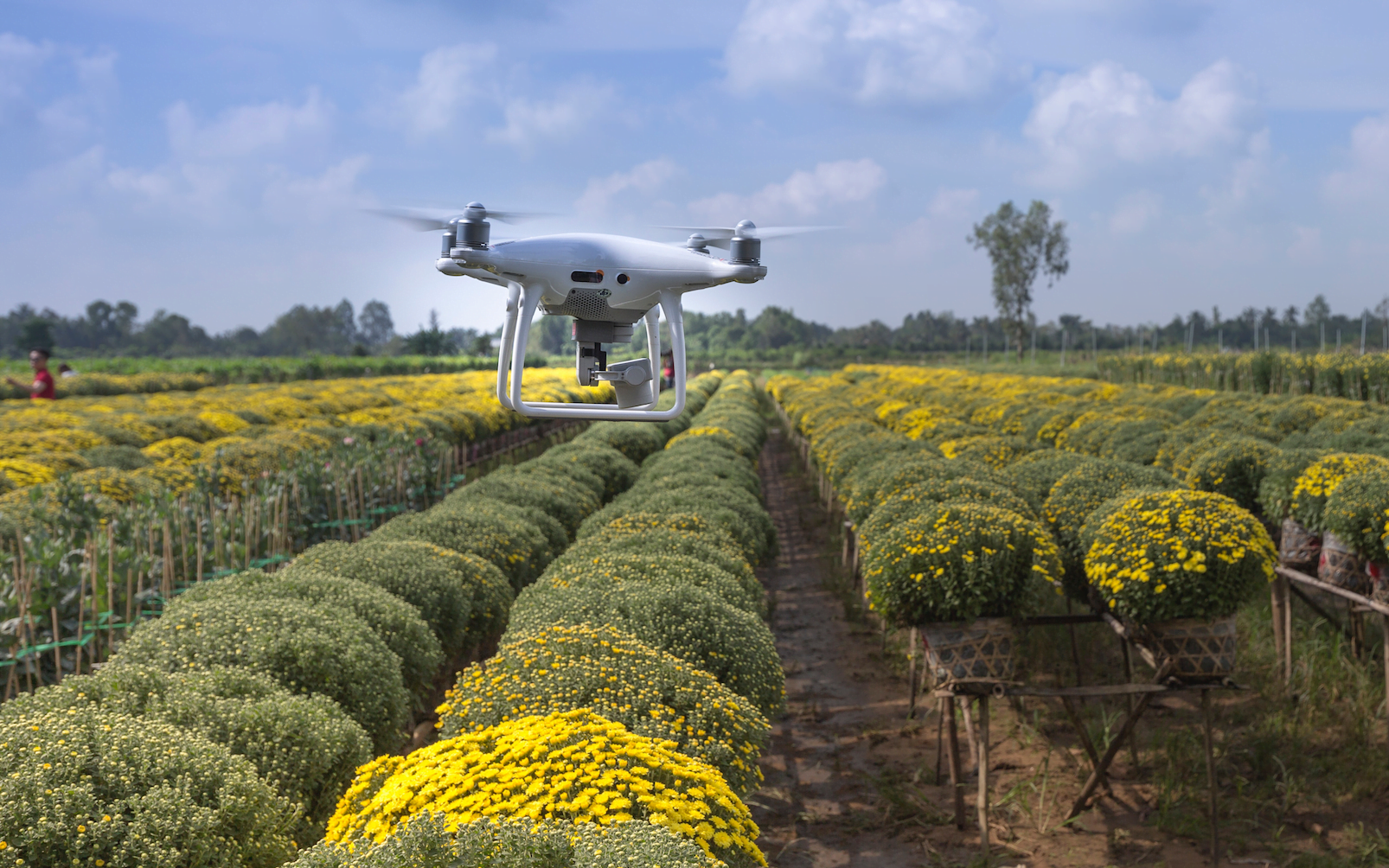 Drone data for more sustainable farming