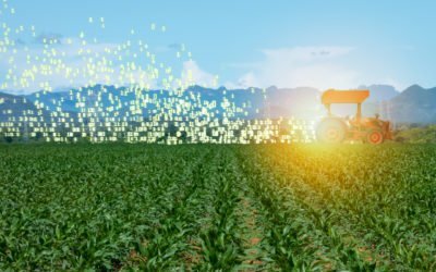 AgTech: The Shortcomings of Big Data