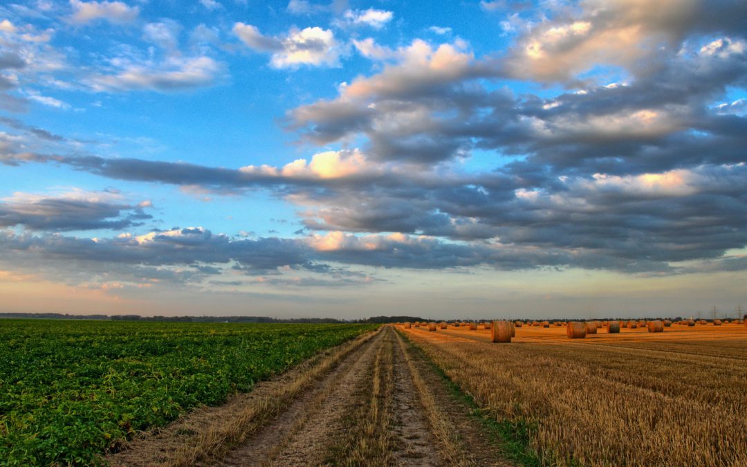 Interim Solutions to Agriculture’s Rural Connectivity Problem