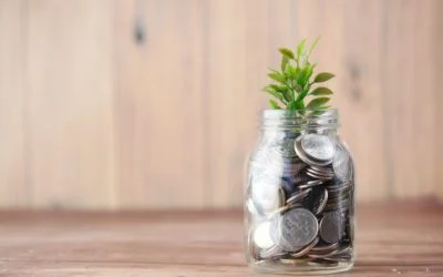 Guidelines for Agribusiness: App Development Costs