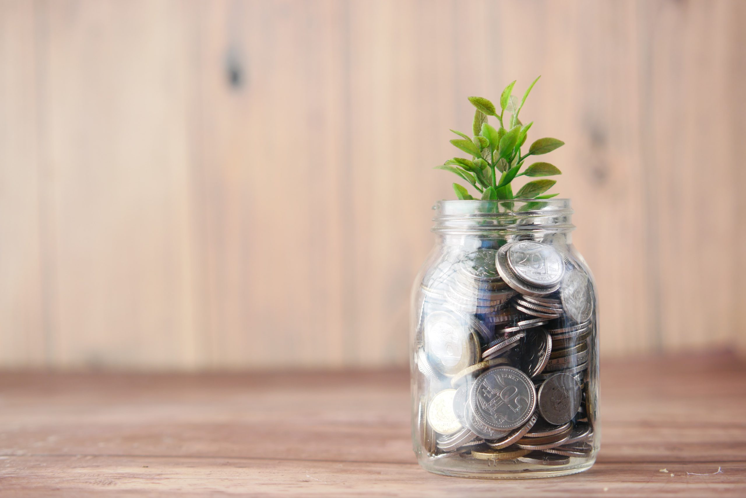 Jar with plant and money to symbolize farm application development costs