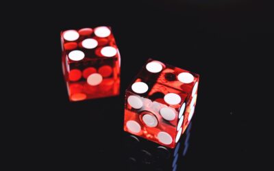 Don’t Roll the Dice with Software Product Development